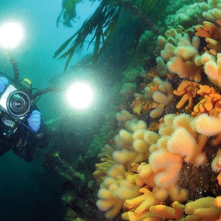 Dalsøyra Gulen Dive Resort المظهر الخارجي الصورة